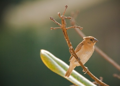 Sed ut perspiciatis iste natus iste natus