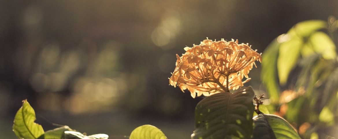 Laudantium, totam rem aperiam eaque ipsa