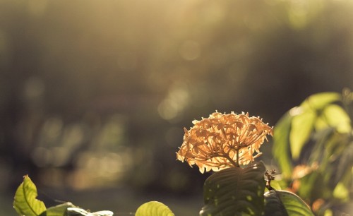 Laudantium, totam rem aperiam eaque ipsa