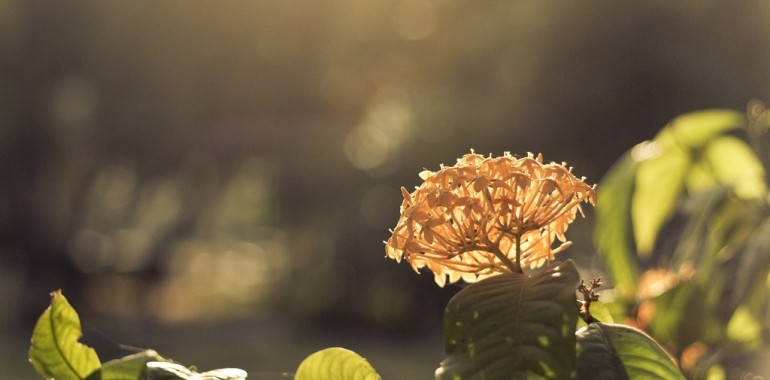 Laudantium, totam rem aperiam eaque ipsa