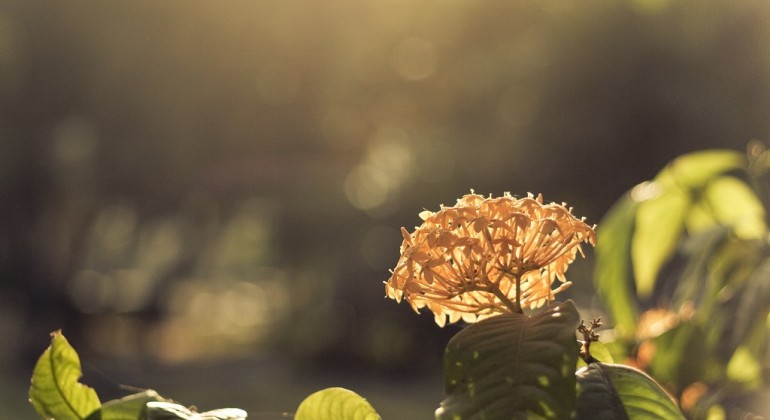 Laudantium, totam rem aperiam eaque ipsa