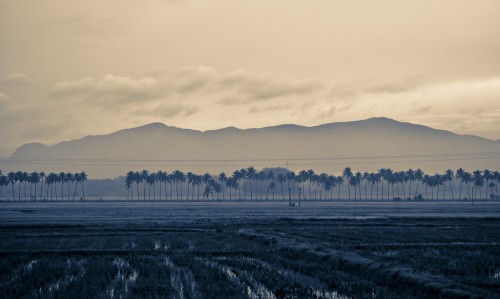 Ut enim ad minim et ven veniam, quis nostrud