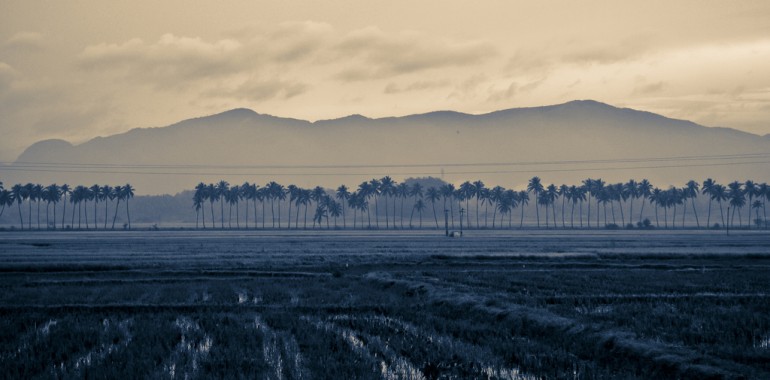 Ut enim ad minim et ven veniam, quis nostrud