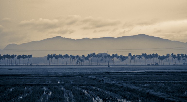 Ut enim ad minim et ven veniam, quis nostrud