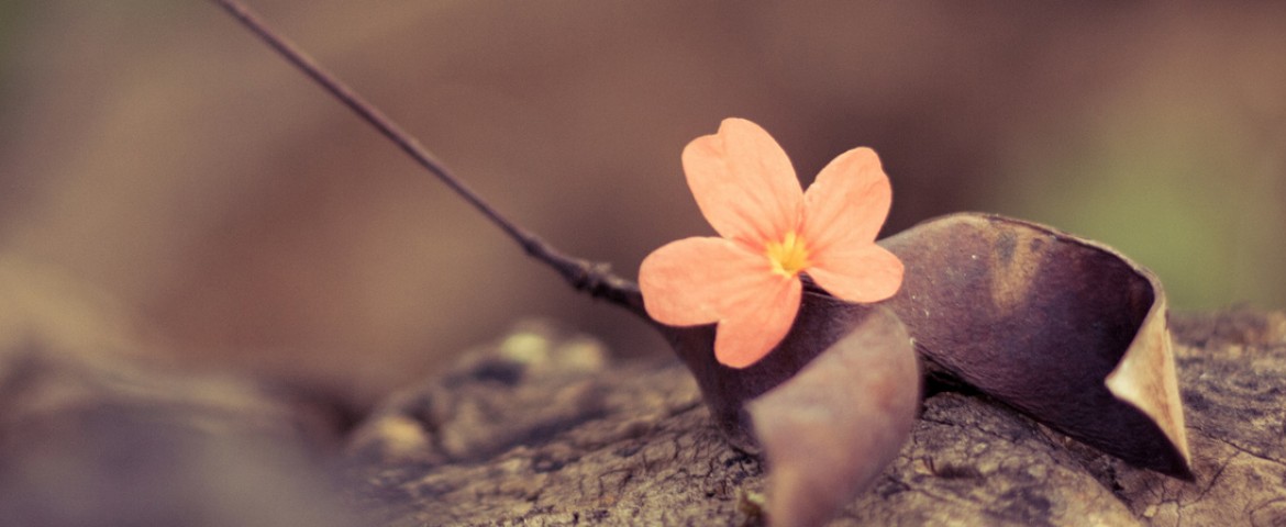 Sed ut perspiciatis iste natus iste natus