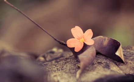 Sed ut perspiciatis iste natus iste natus