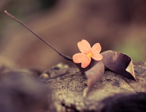 Sed ut perspiciatis iste natus iste natus