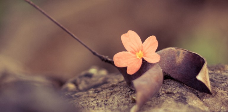 Sed ut perspiciatis iste natus iste natus