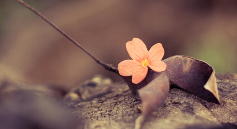 Sed ut perspiciatis iste natus iste natus