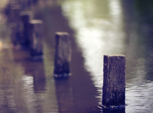 Sit Voluptatem accusantium